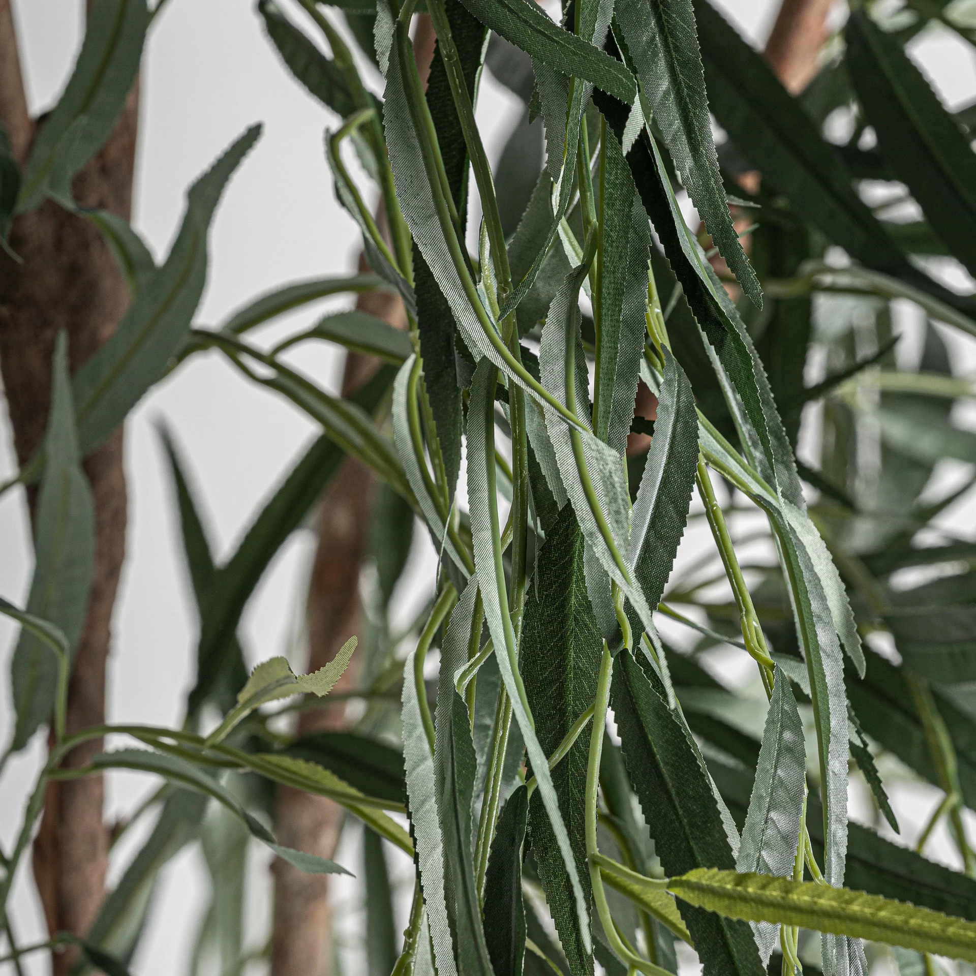 PLANTA SALCIE VicalHome 37731 [2]