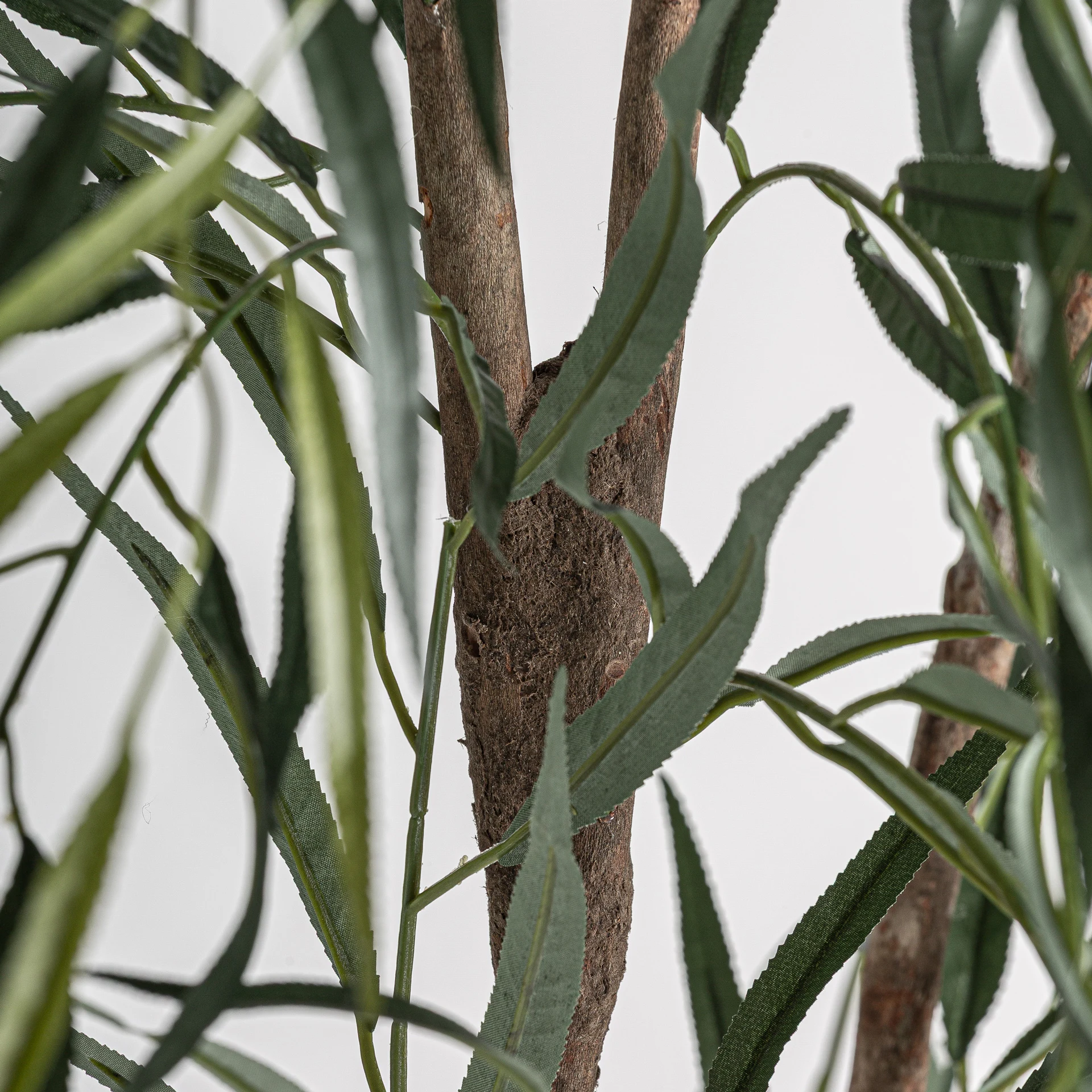 PLANTA SALCIE VicalHome 37731 [3]