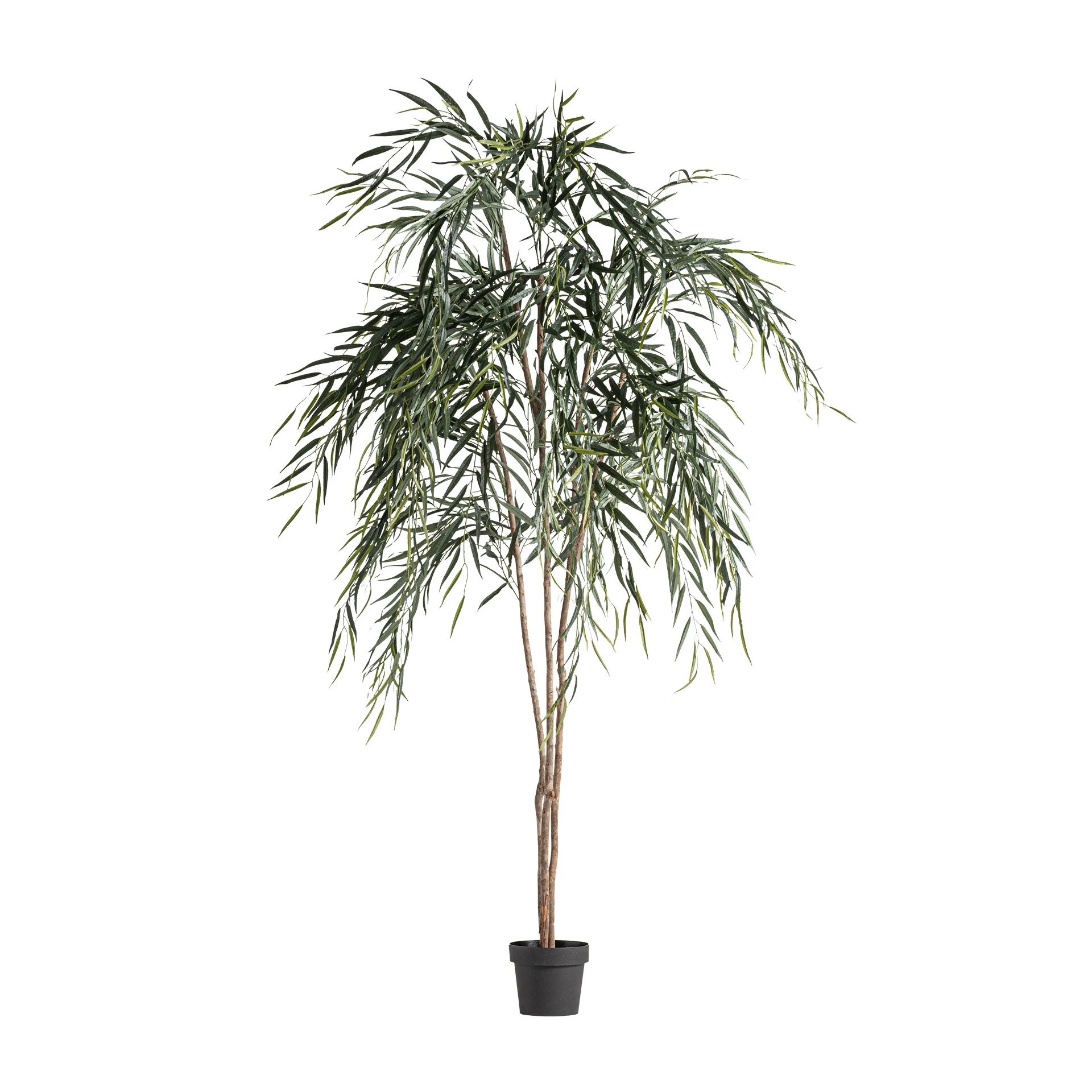 PLANTA SALCIE VicalHome 37731 [2]