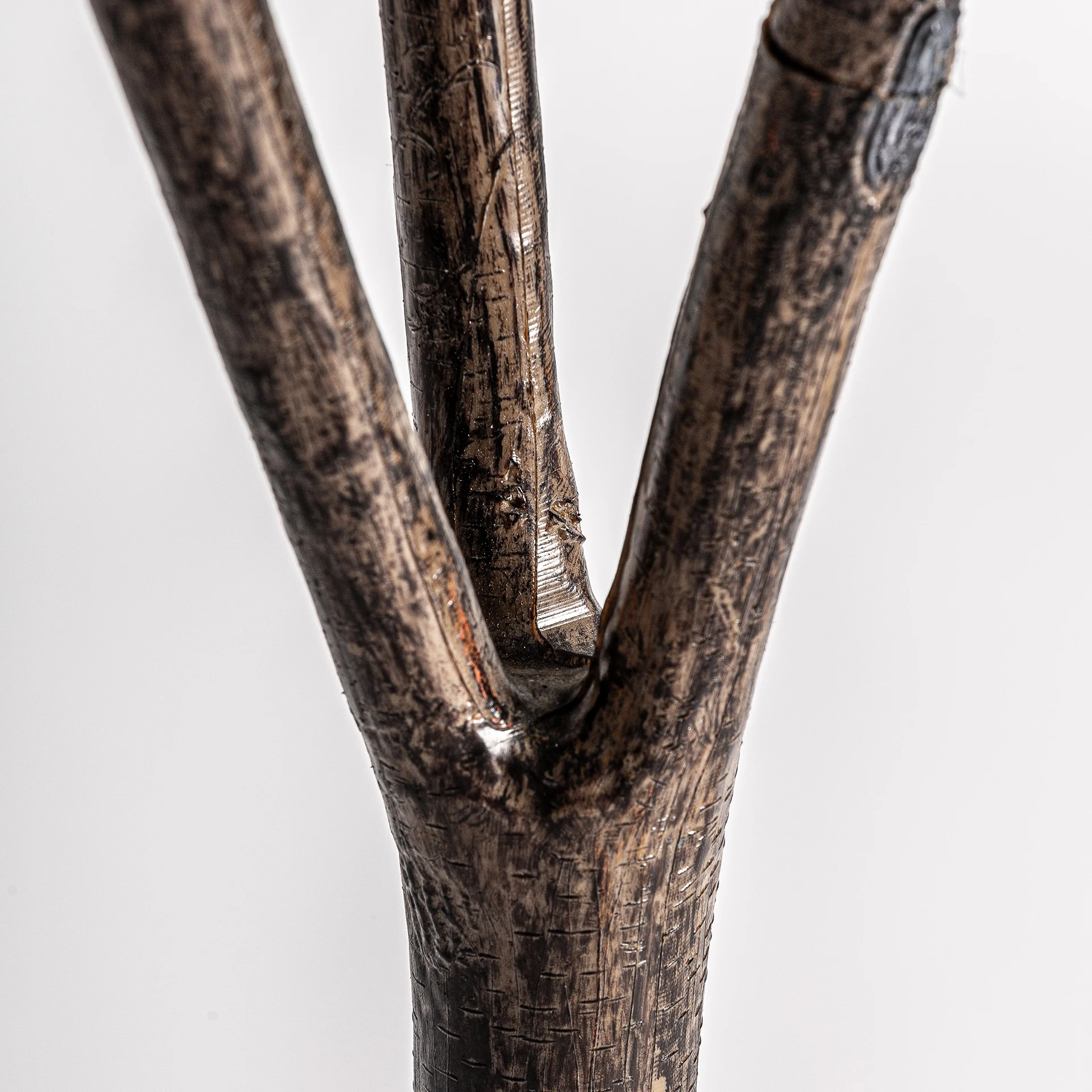 PLANTA STEJAR ALB VicalHome 33921 [11]