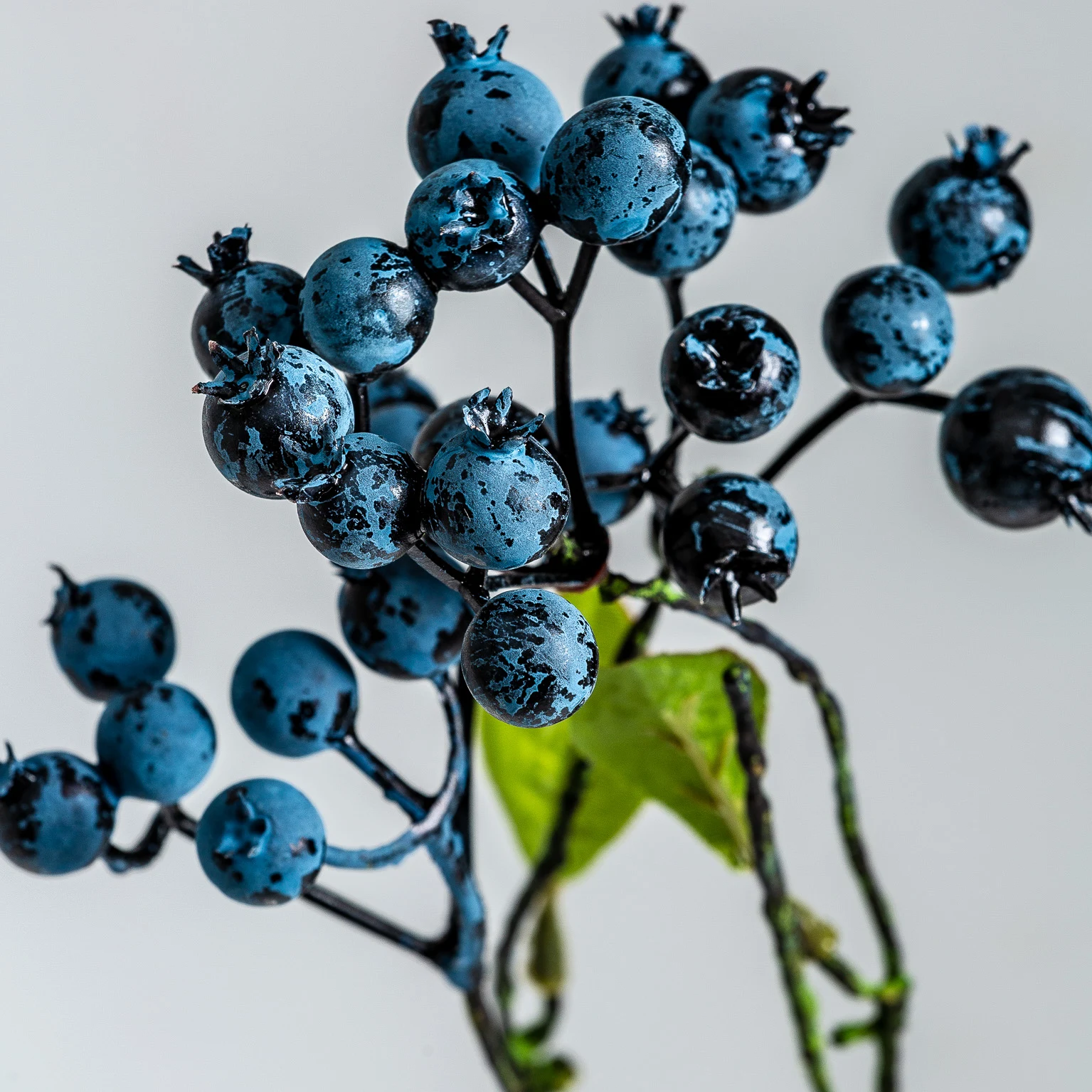 PLANTA VicalHome 26343 [5]