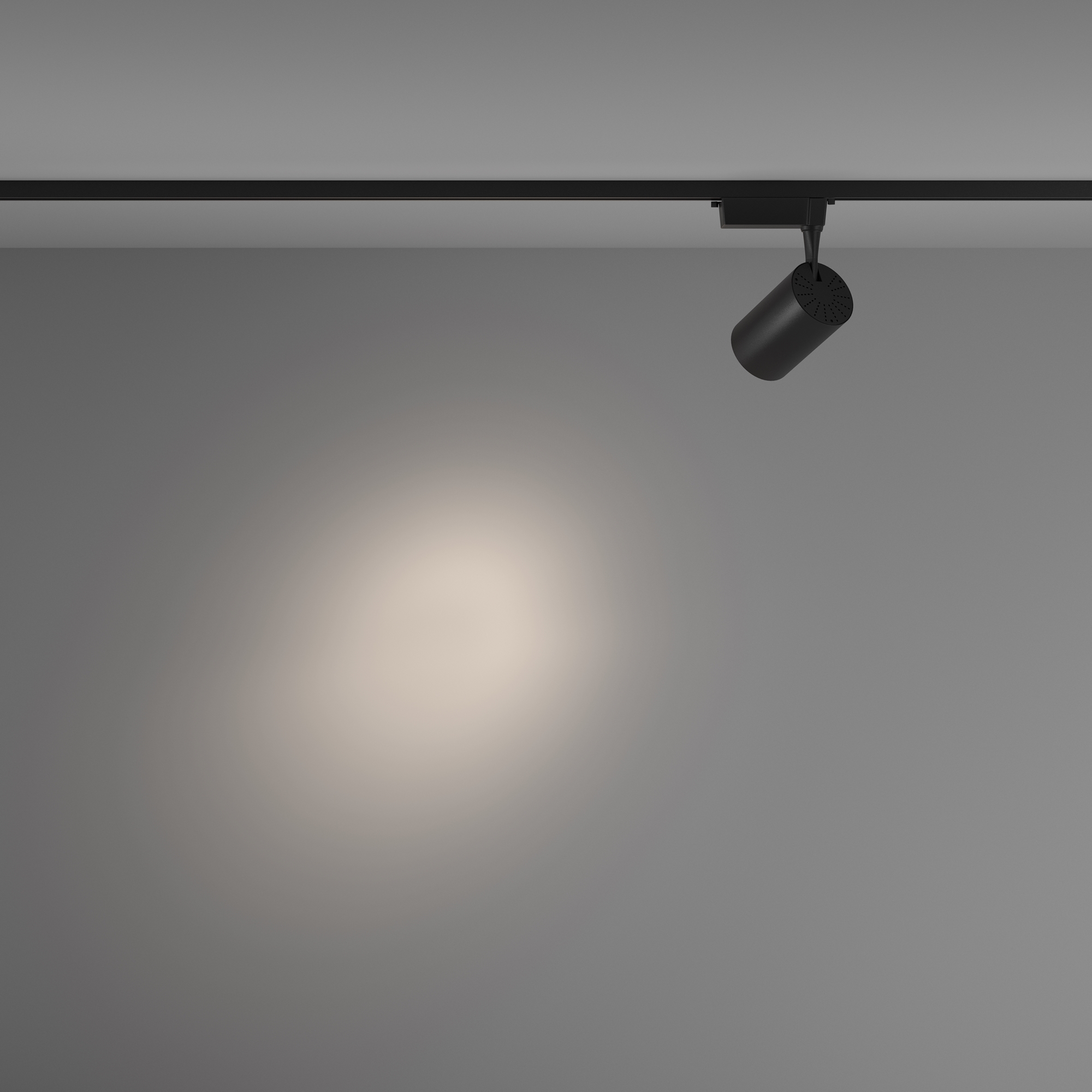 Corp de iluminat pe șină Vuoro, Aluminiu Negru, 15W, MAYTONI TR003-1-15W4K-S-B [7]