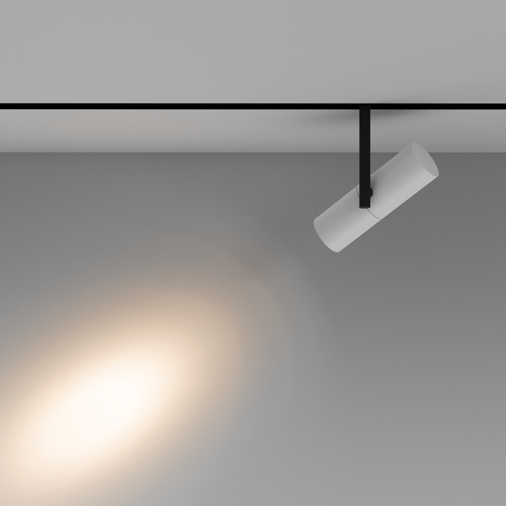 Corp de iluminat pe șină Elti, Aluminiu Negru, 12W, MAYTONI TR005-2-12W3K-BW [6]