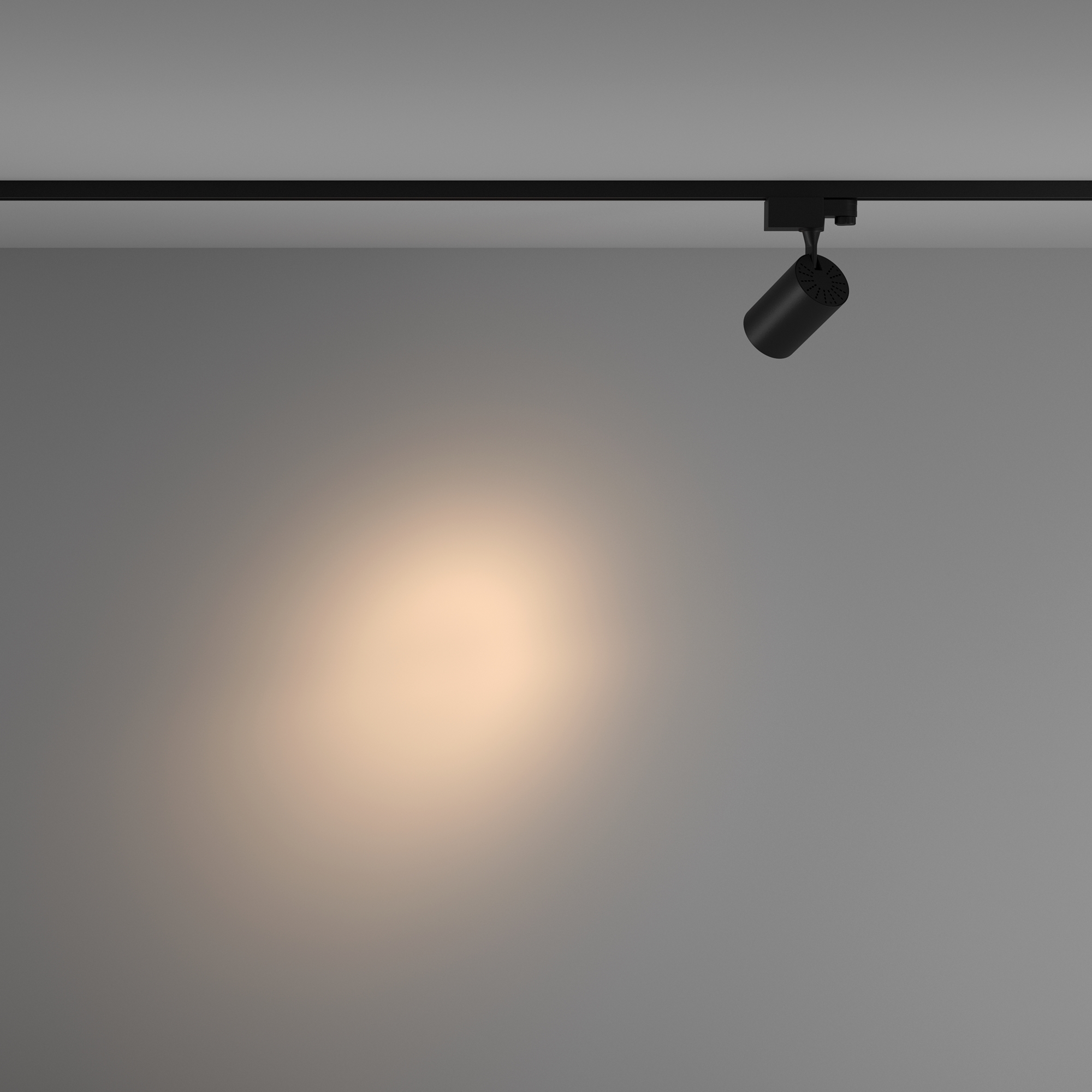 Corp de iluminat pe șină Vuoro, Aluminiu Negru, 10W, MAYTONI TR029-3-10W3K-S-B [7]