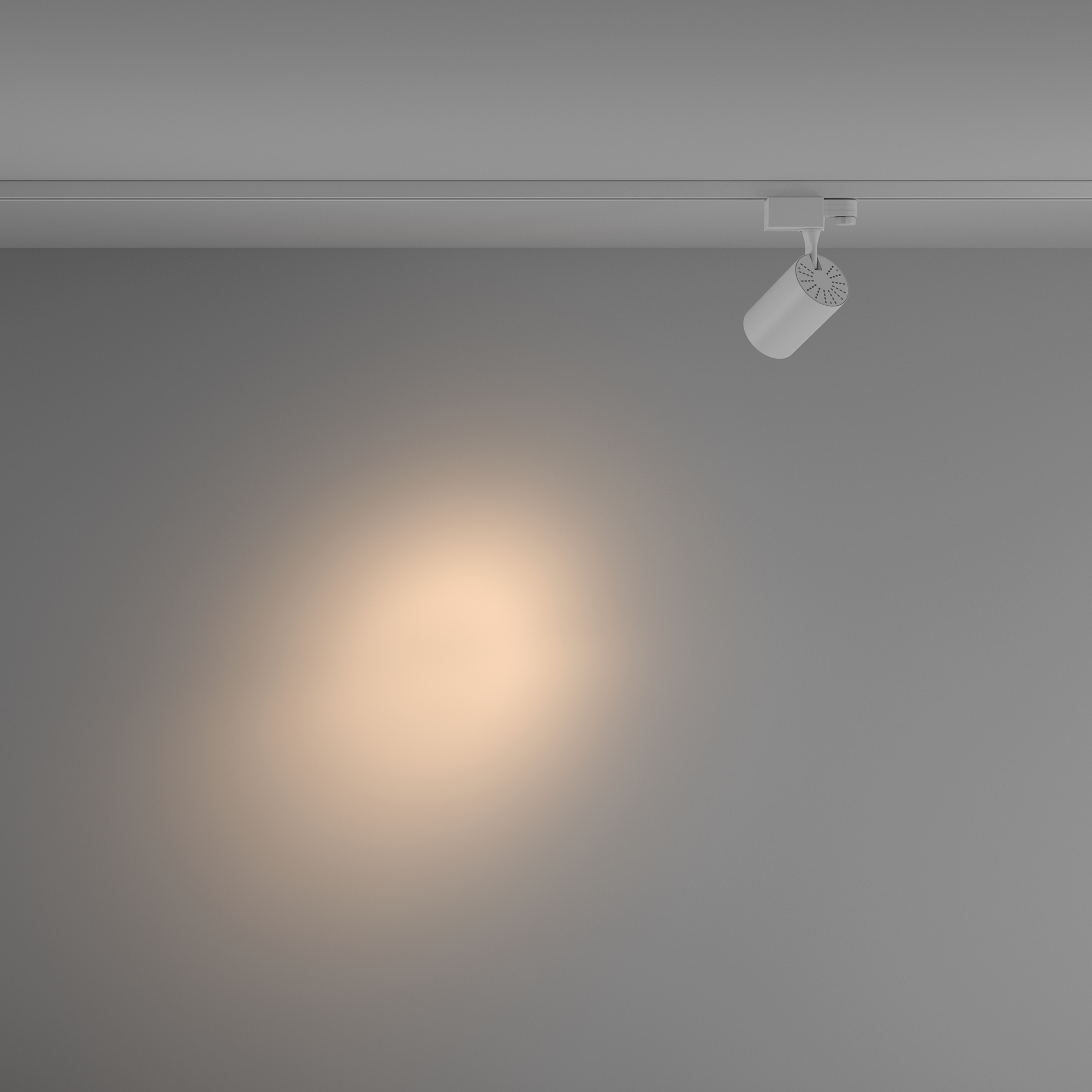 Corp de iluminat pe șină Vuoro, Aluminiu Alb, 10W, MAYTONI TR029-3-10W3K-S-W [7]