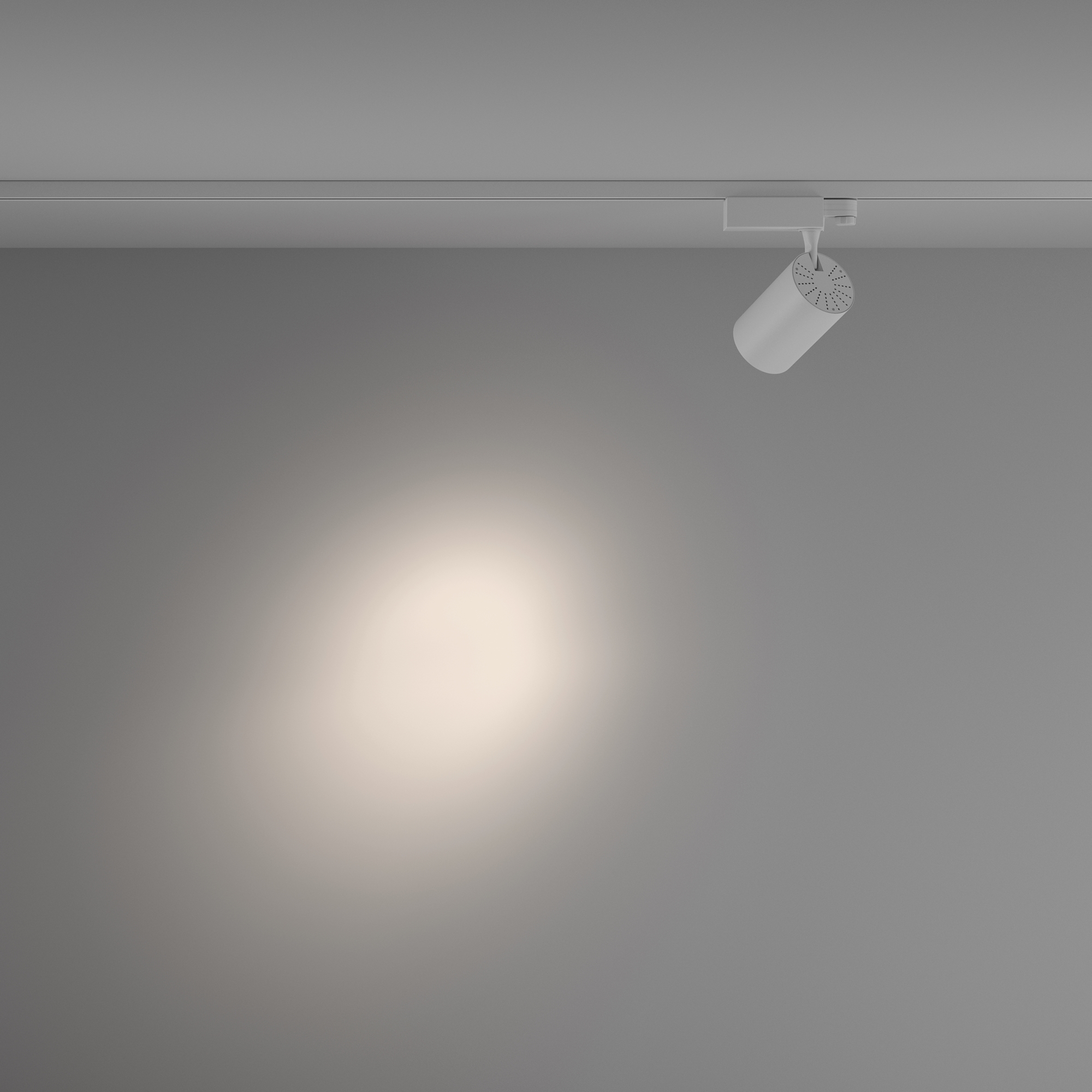 Corp de iluminat pe șină Vuoro, Aluminiu Alb, 20W, MAYTONI TR029-3-20W4K-S-W [6]