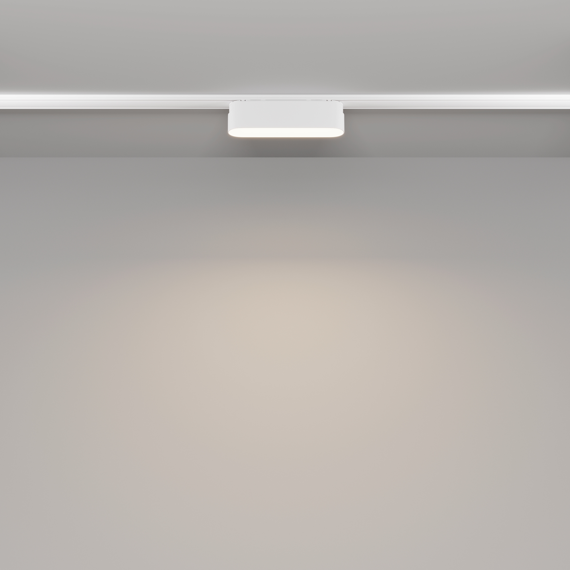 Corp de iluminat pe șină BASIS, Aluminiu Alb, 6W, MAYTONI TR080-1-6W4K-W [6]