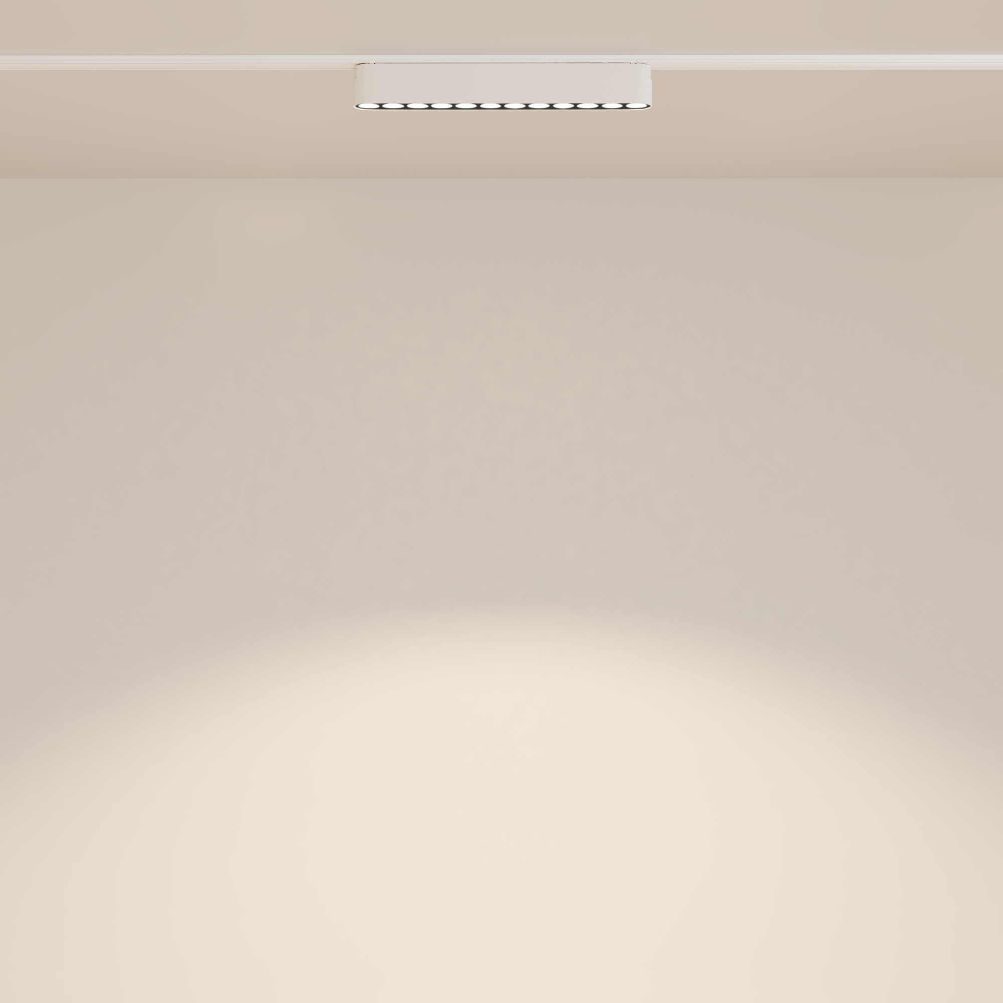 Corp de iluminat pe șină Points, Aluminiu Alb, 12W, MAYTONI TR082-1-12W3K-M-W [6]