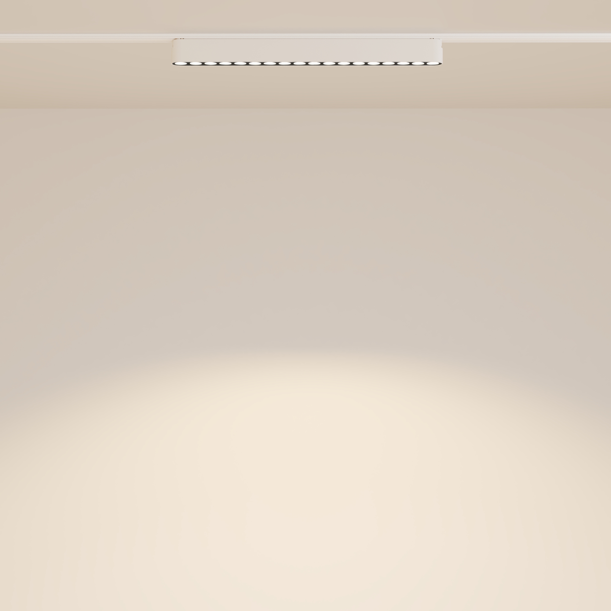 Corp de iluminat pe șină Points, Aluminiu Alb, 16W, MAYTONI TR082-1-18W3K-M-W [6]