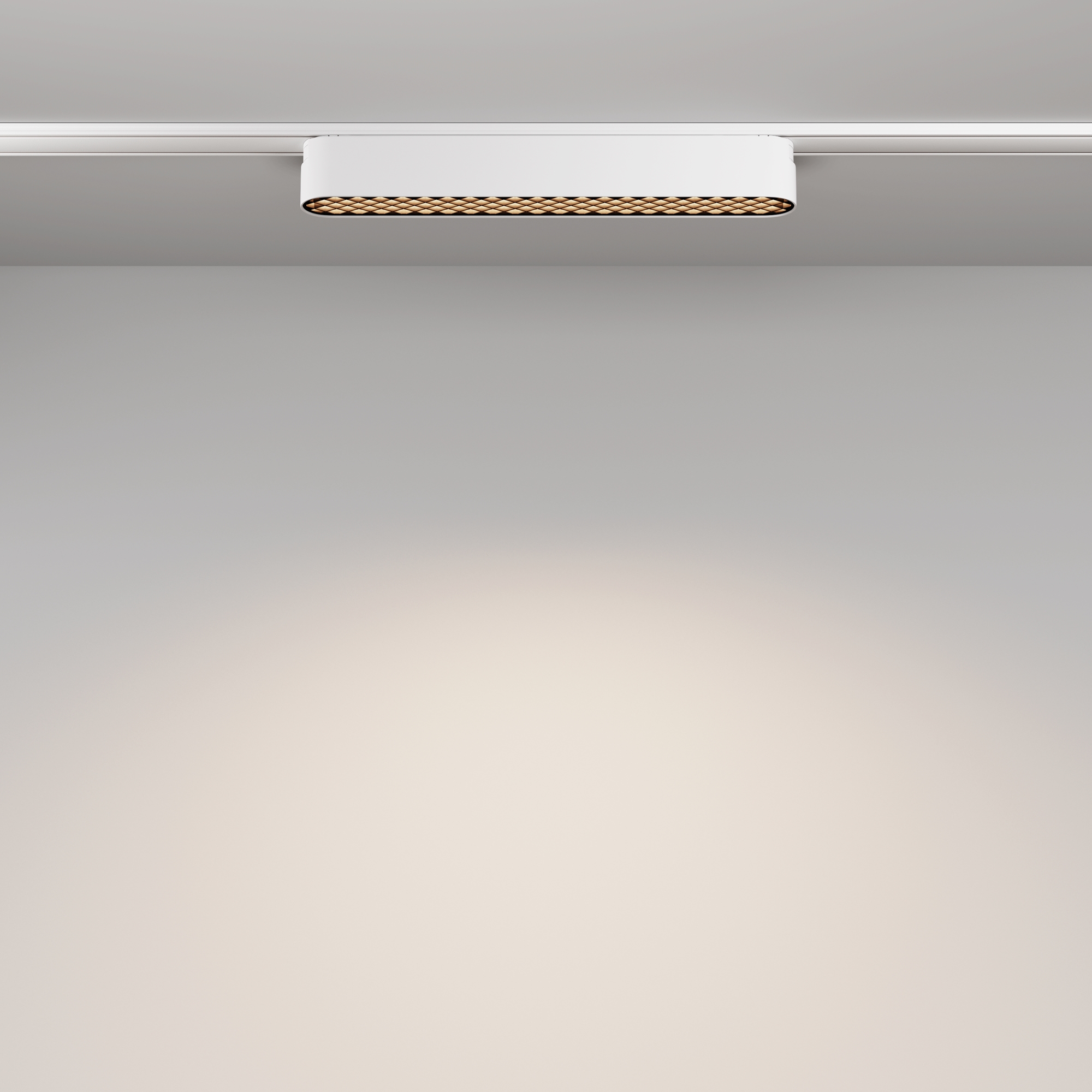 Corp de iluminat pe șină BASIS GRID, Aluminiu Alb, 12W, MAYTONI TR084-1-12W4K-W [6]