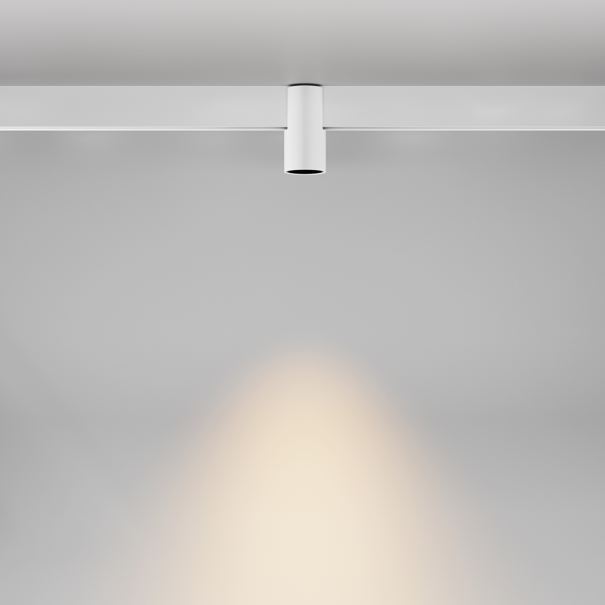 Corp de iluminat pe șină Alfa, Aluminiu Negru, 7W, MAYTONI TR122-2-7W3K-W [8]