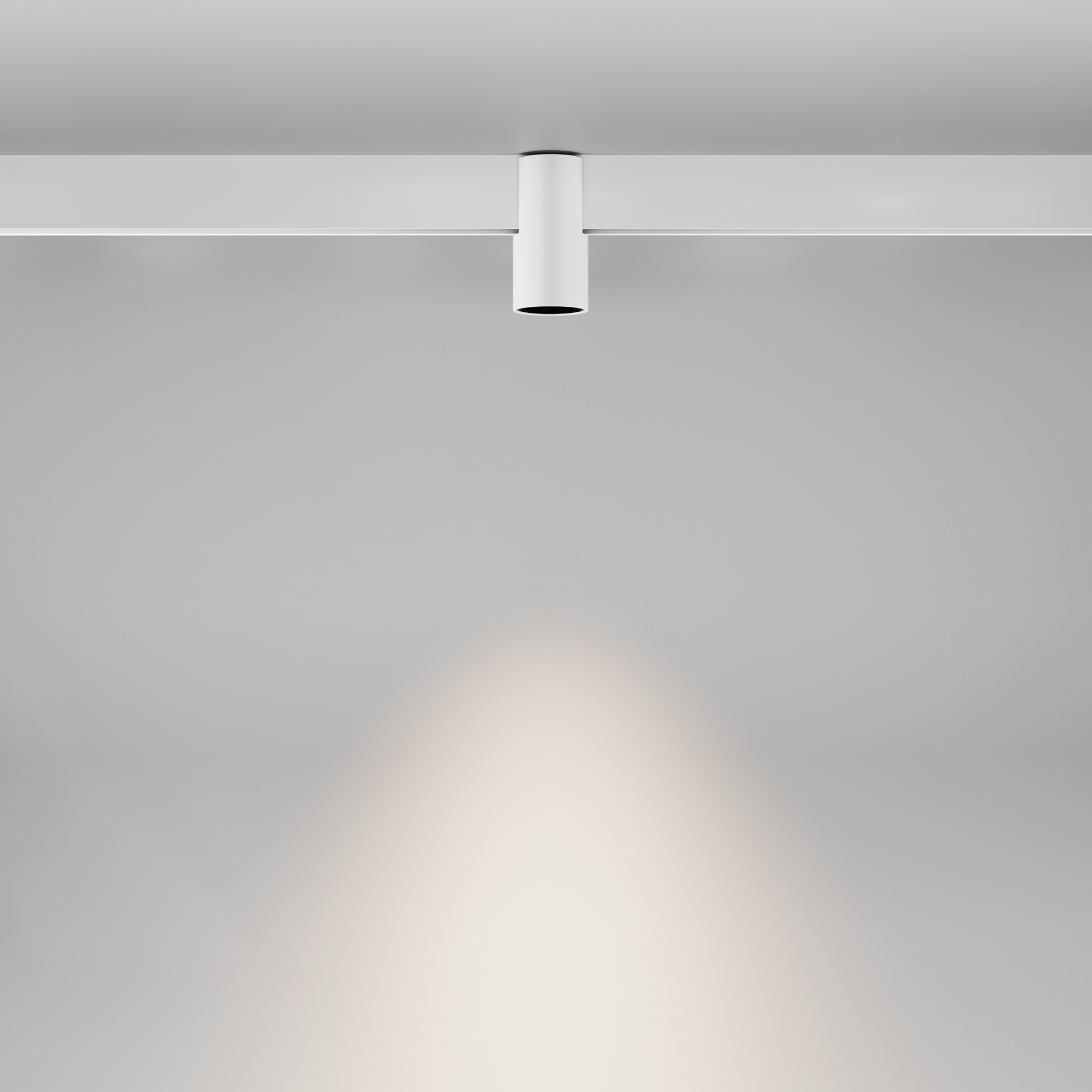 Corp de iluminat pe șină Alfa, Aluminiu Negru, 7W, MAYTONI TR122-4-7W-DS-W [7]