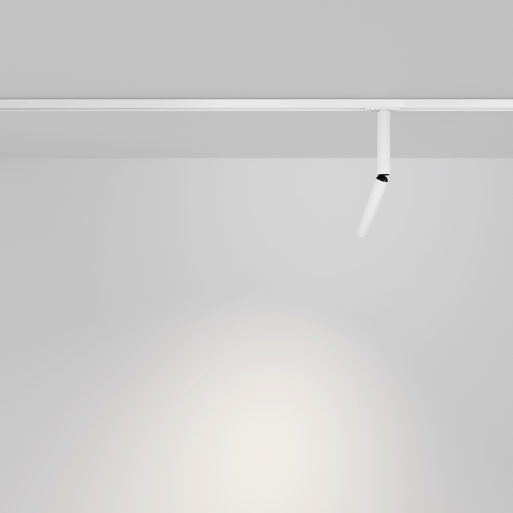 Corp de iluminat pe șină Focus Dual, Aluminiu Alb, 6W, MAYTONI TR142-1-6W3K-W [7]