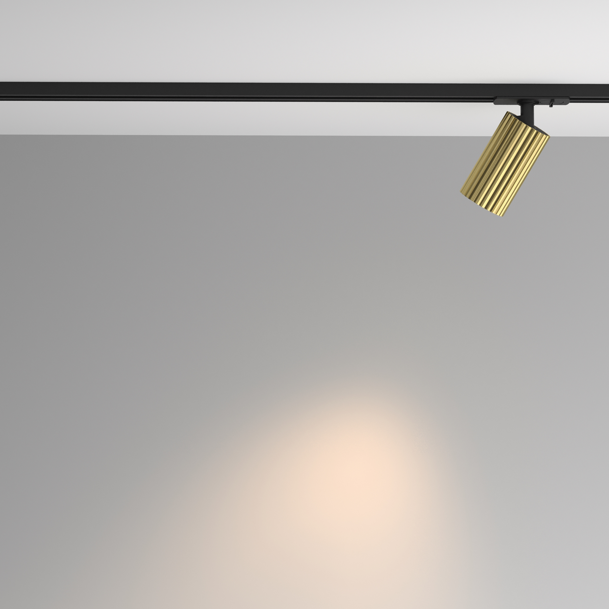 Corp de iluminat pe șină Calipso, Aluminiu Negru, 10W, MAYTONI TR218-1-GU10-BS [6]