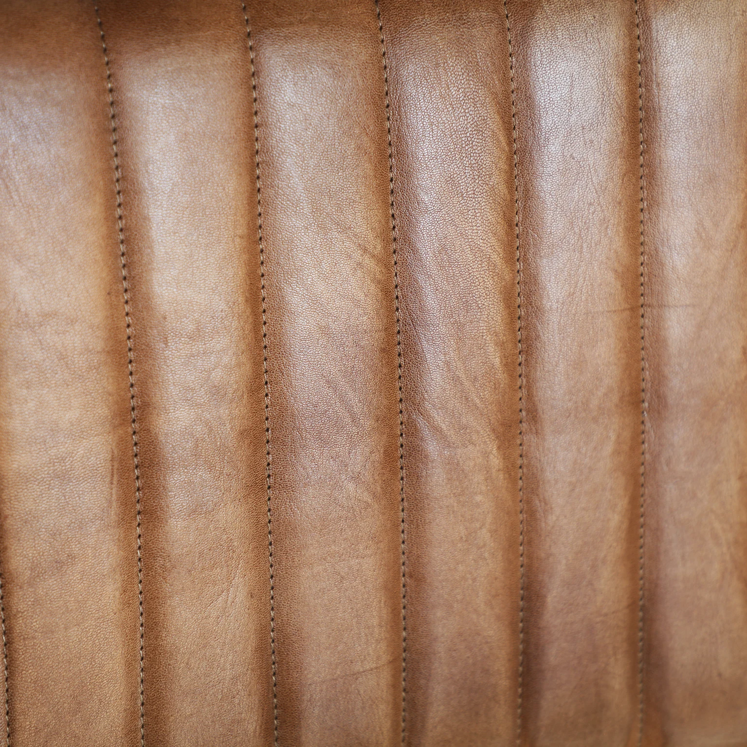 Scaun Chadron VicalHome 22247 [16]