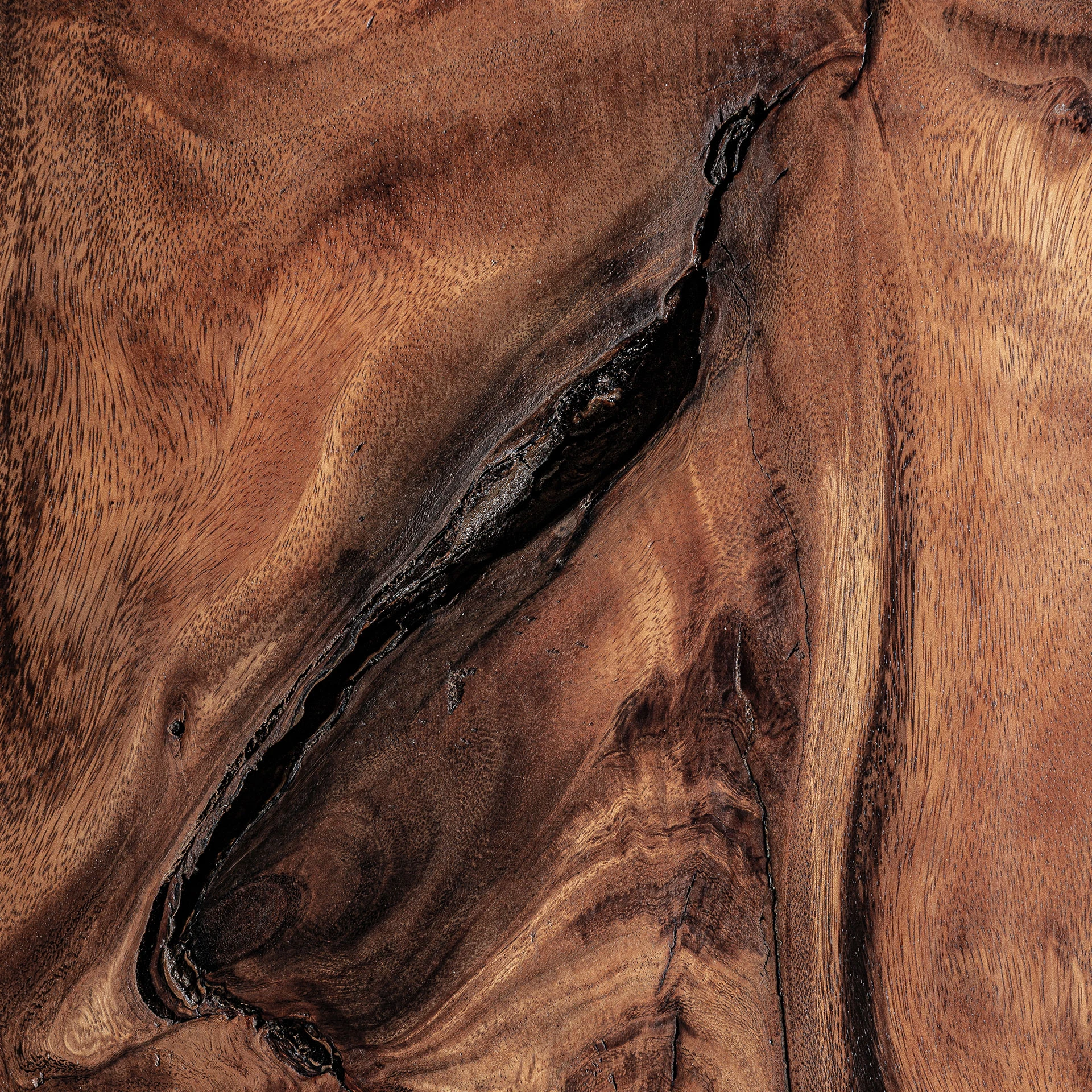 SCULPTURA DE VARF VicalHome 35326 [6]