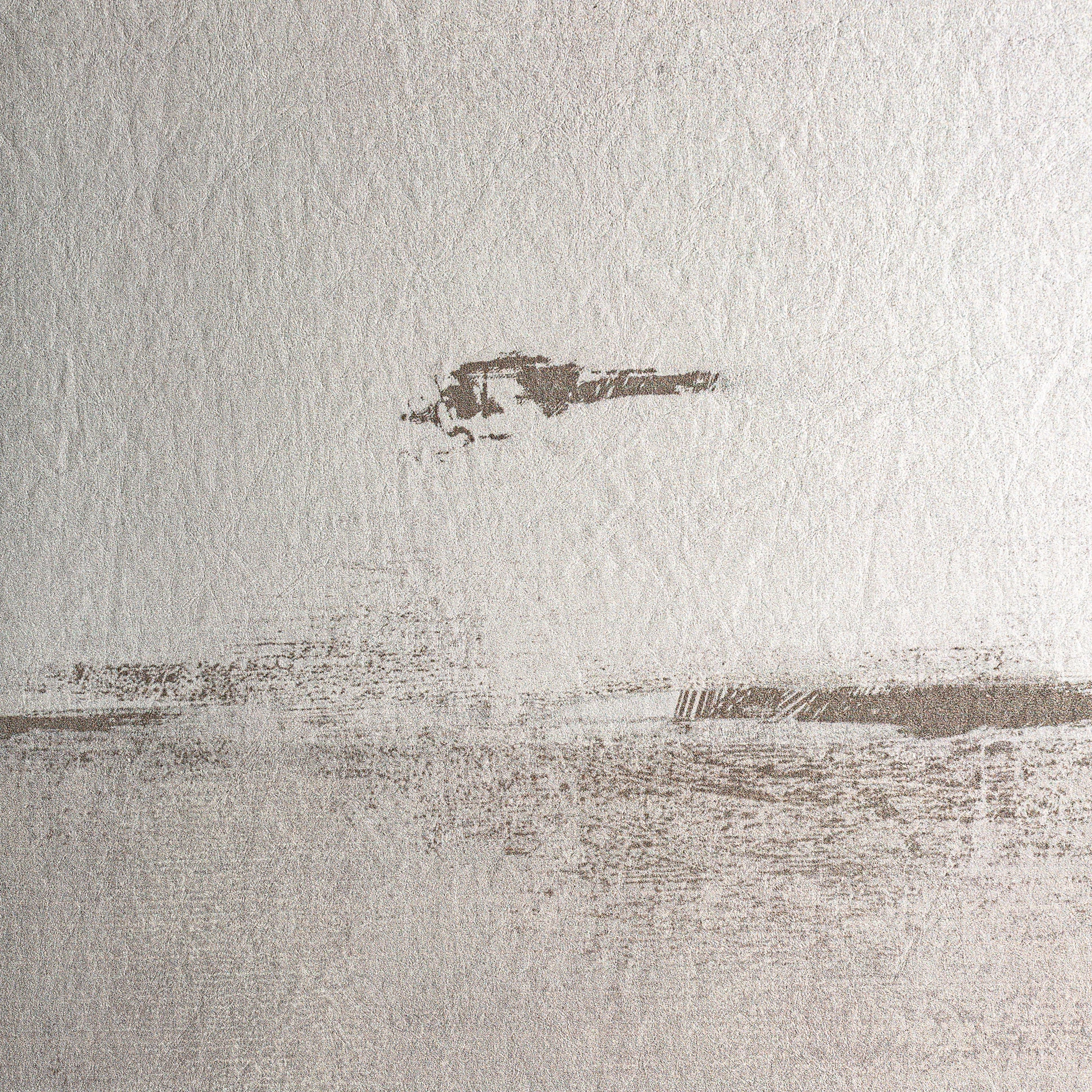 Set de 2 panze Cyrus VicalHome 34529 [13]