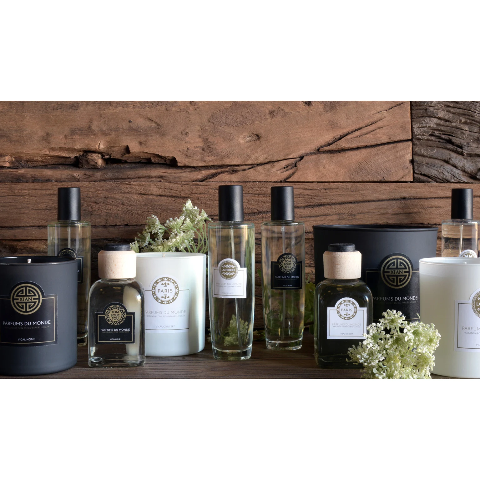 Spray Jaipur VicalHome 23619 [8]