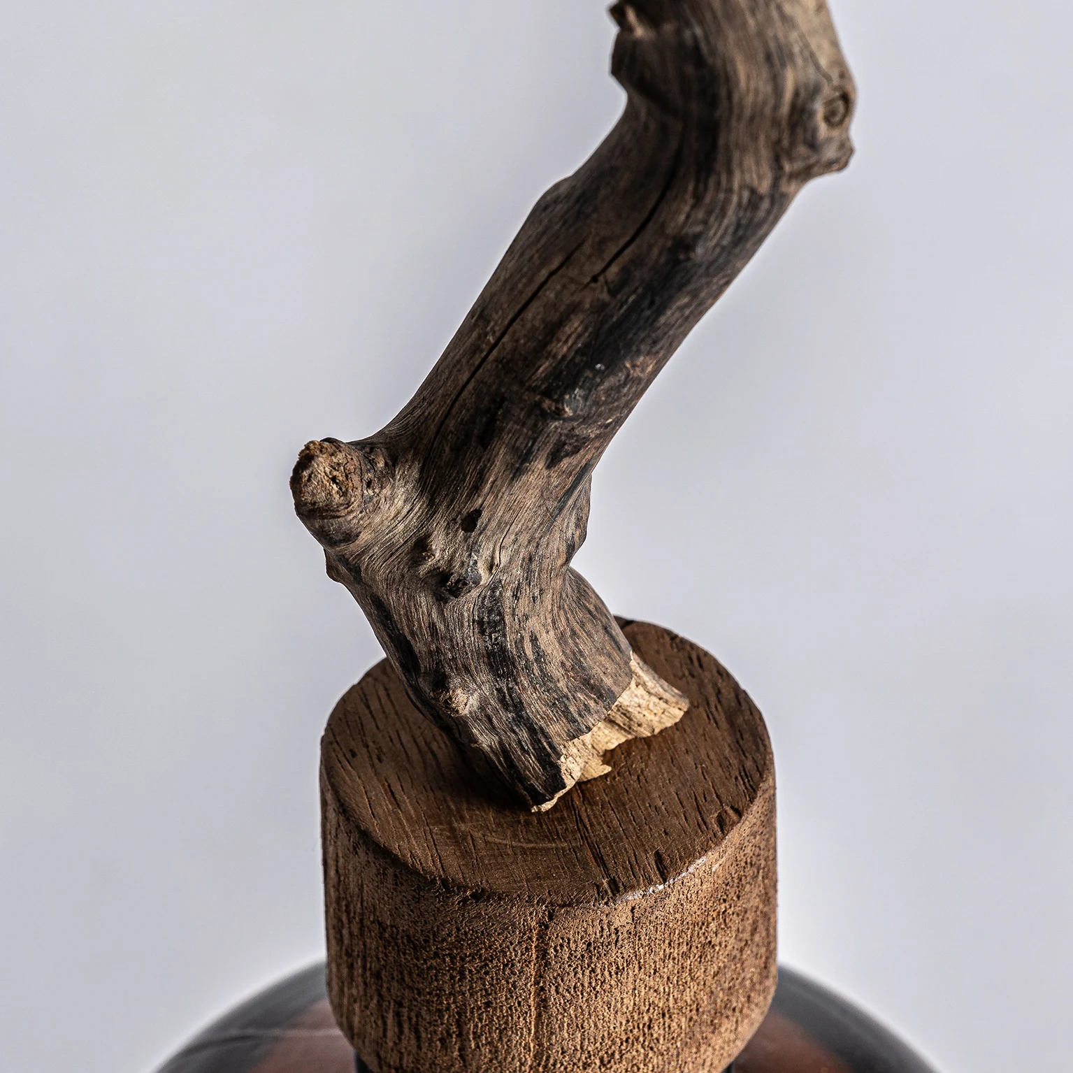 Sticla decorativa Tronco VicalHome 27839 [4]