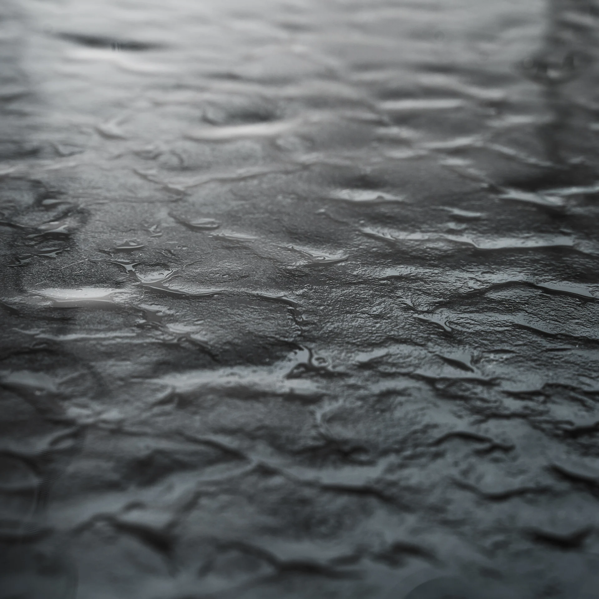 SUCHDOL MASA DE SUFRAGERIE VicalHome 36018 [14]