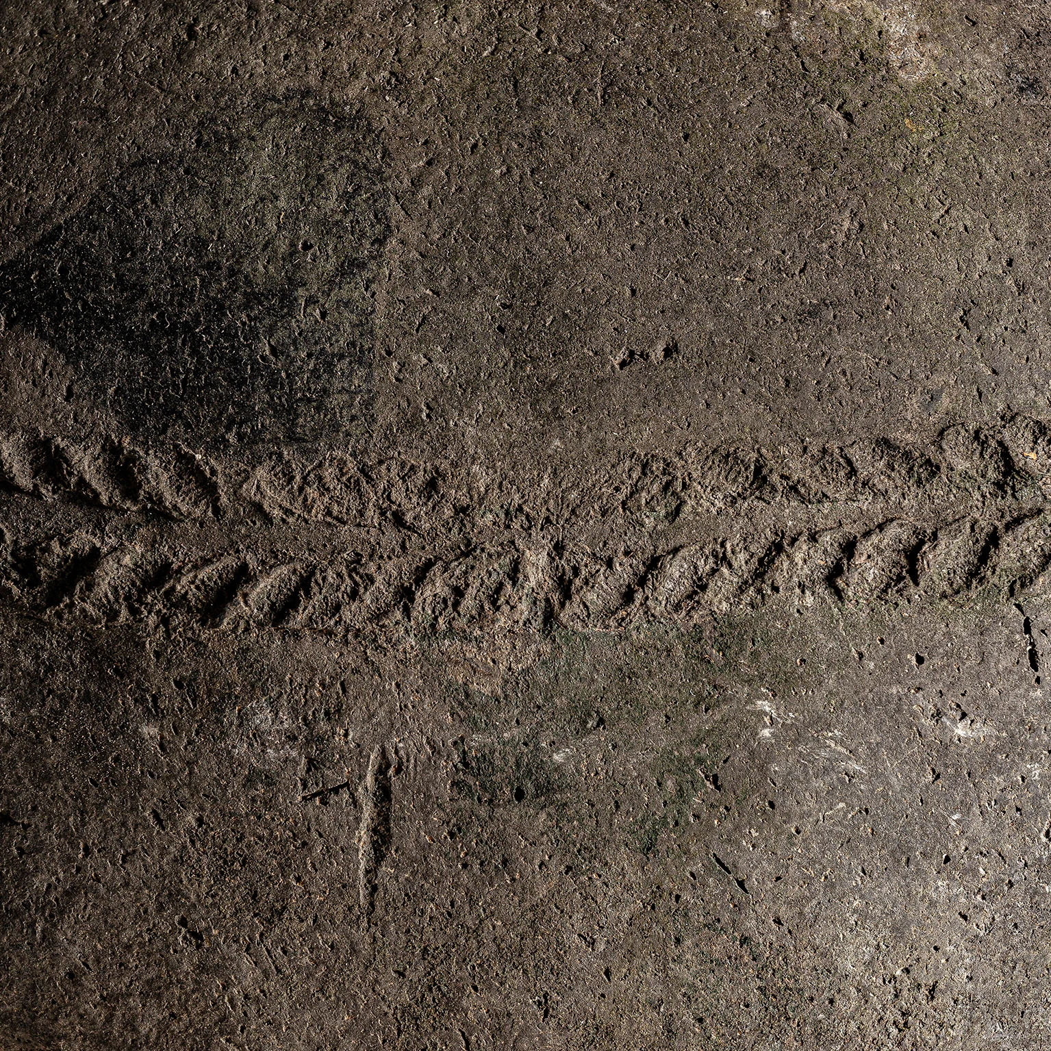 VAS COLMBERG VicalHome 31498 [9]