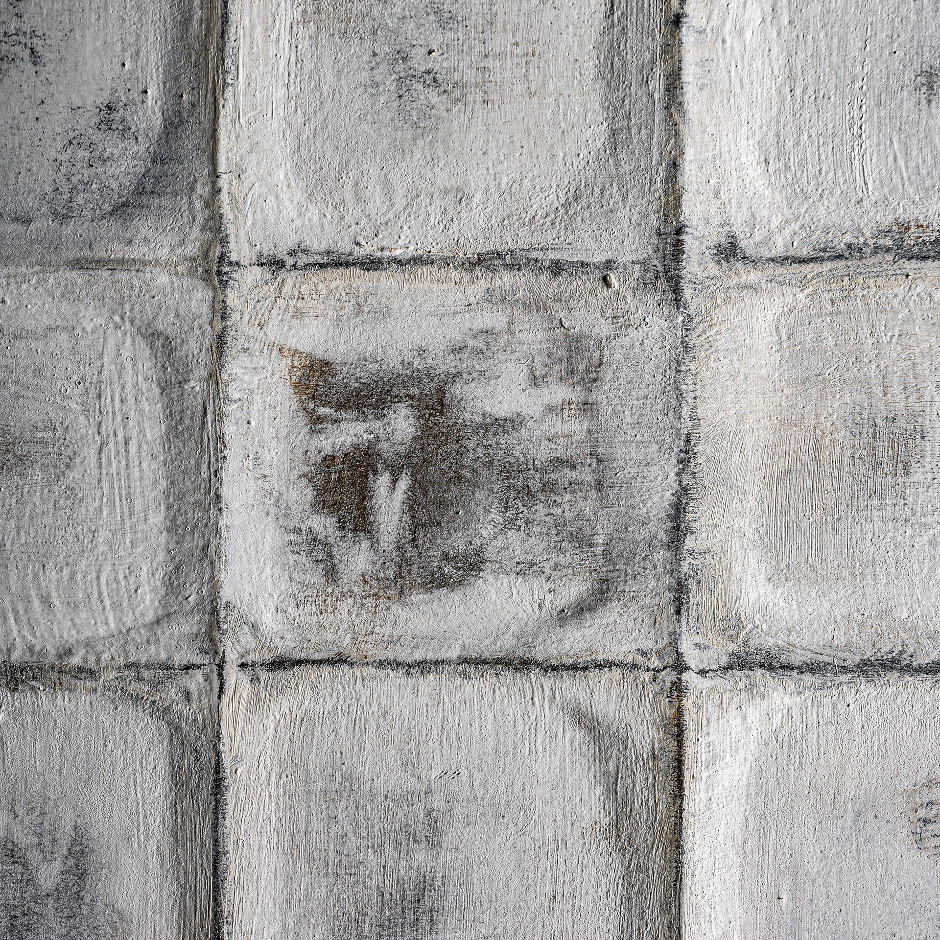 BLAS CANVAS VicalHome 35957 [2]