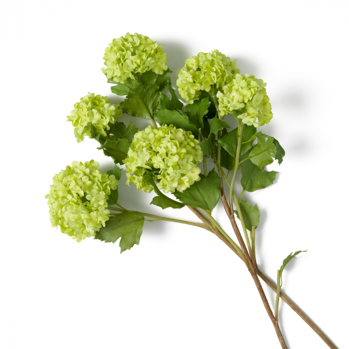   Buchet de hortensii snowball verzi cu atingere reală 36 de bucăți 119294 EICHHOLTZ [4]