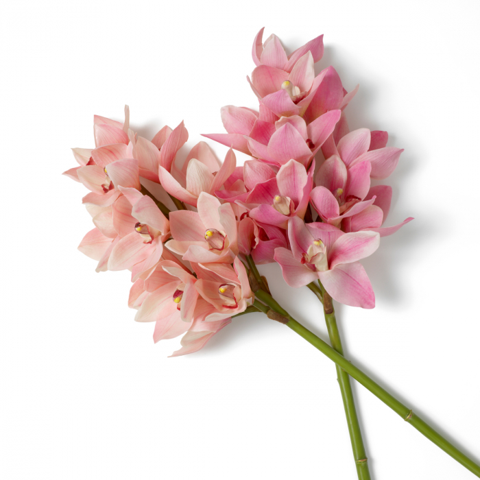   Buchet de orhidee Cymbidium în nuanțe de roz și piersică, atingere reală, 36 buc./2 varietăți 119282 EICHHOLTZ [4]