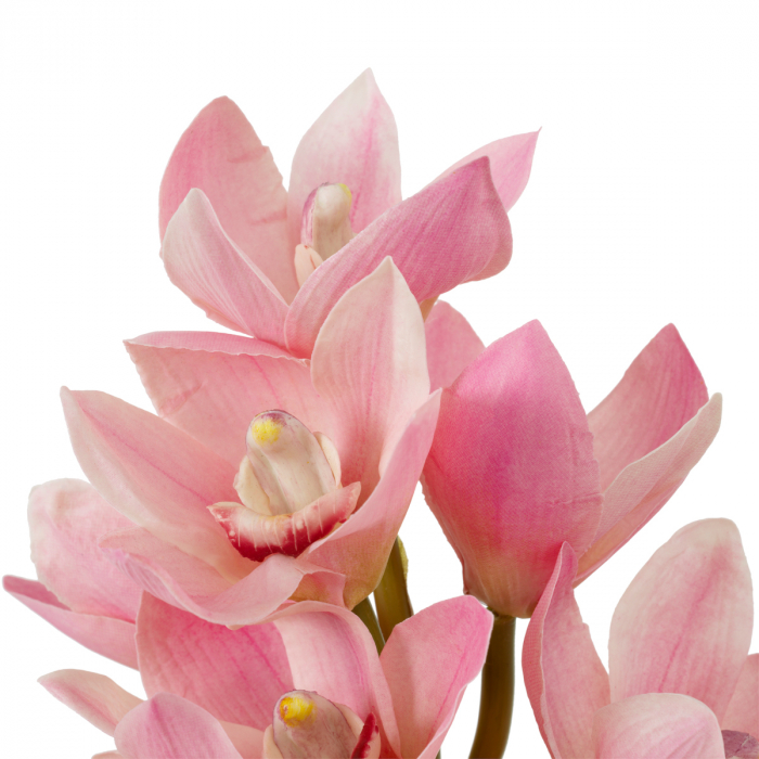   Buchet de orhidee Cymbidium în nuanțe de roz și piersică, atingere reală, 36 buc./2 varietăți 119282 EICHHOLTZ [5]