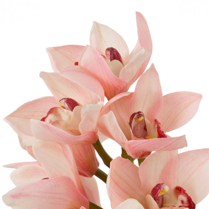   Buchet de orhidee Cymbidium în nuanțe de roz și piersică, atingere reală, 36 buc./2 varietăți 119282 EICHHOLTZ [6]