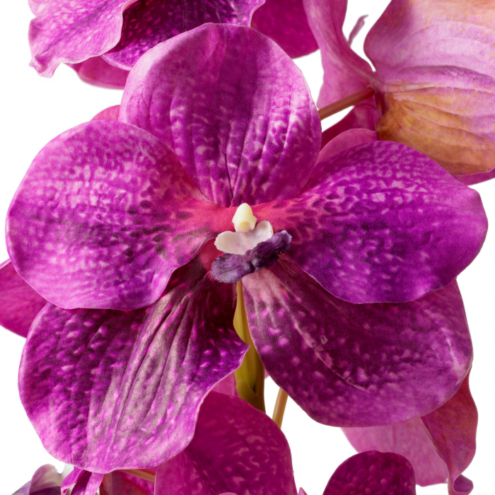   Buchet de orhidee Vanda fucsia cu atingere reală 24 bucăți 119285 EICHHOLTZ [4]
