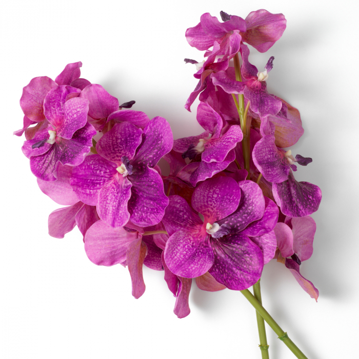   Buchet de orhidee Vanda fucsia cu atingere reală 24 bucăți 119285 EICHHOLTZ [3]