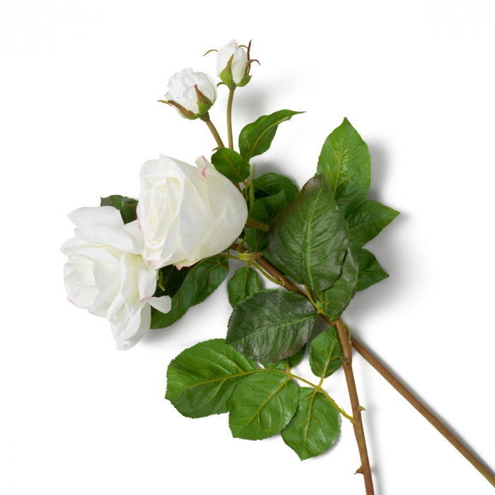   Buchet de trandafiri două nuanțe alb real touch 72 buc/2 varietăți 119292 EICHHOLTZ [4]