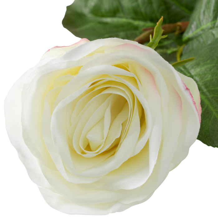   Buchet de trandafiri două nuanțe alb real touch 72 buc/2 varietăți 119292 EICHHOLTZ [6]