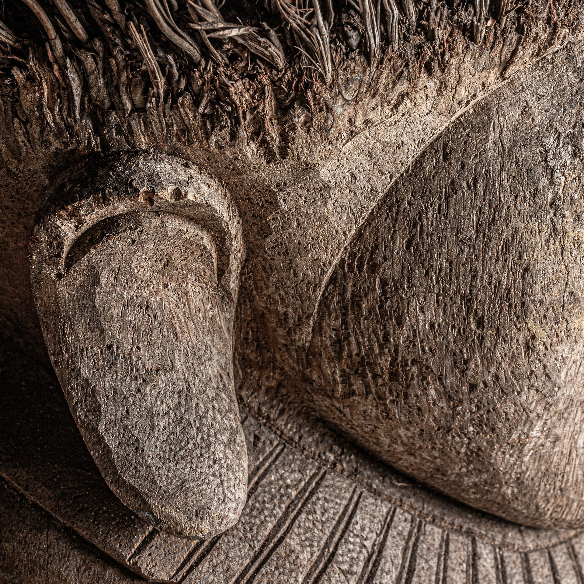 Bust Epi VicalHome 36599 [6]