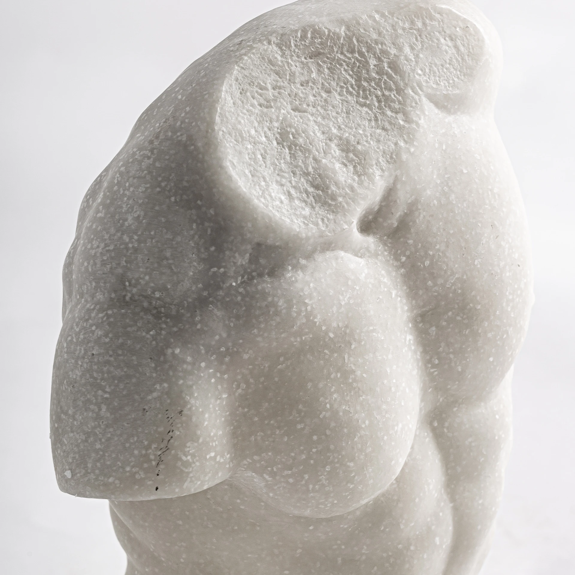 BUST VicalHome 37163 [2]