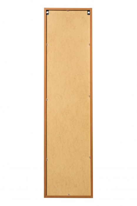 Dulap inalt baie 1 usa DIAMOND WOTAN 80-01-D-1D COMAD [4]