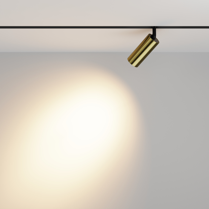 Corp de iluminat pe șină Focus LED, Aluminiu Negru, 12W, MAYTONI TR032-2-12W3K-M-BBS [7]