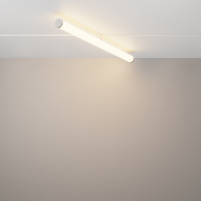 Corp de iluminat pe șină Larc, Aluminiu Alb, 25W, MAYTONI TR086-4-25W-DS-W [6]