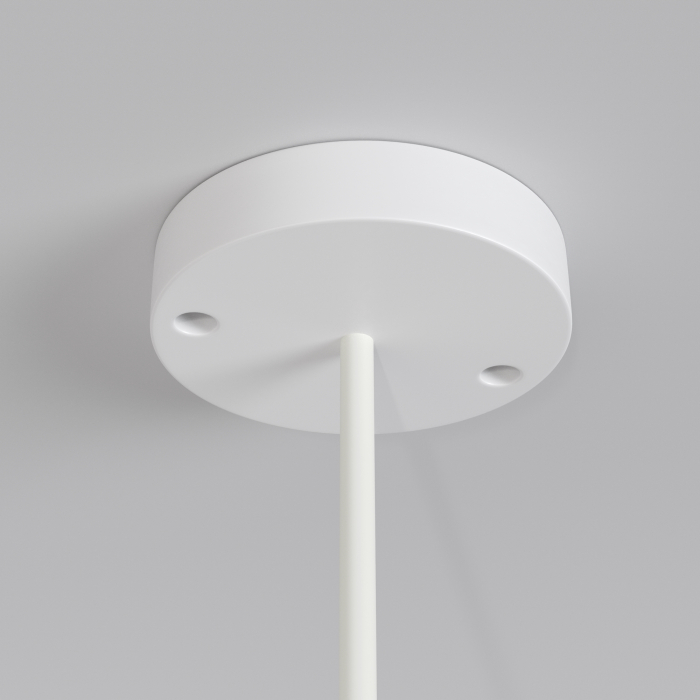 Corp de iluminat suspendat de exterior Erda, Plastic Alb, 30W, MAYTONI O594PL-01W [7]
