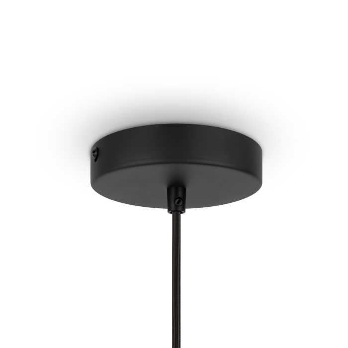 Corp de iluminat suspendat Roots, Metal Negru, 40W, MAYTONI MOD197PL-01W [4]