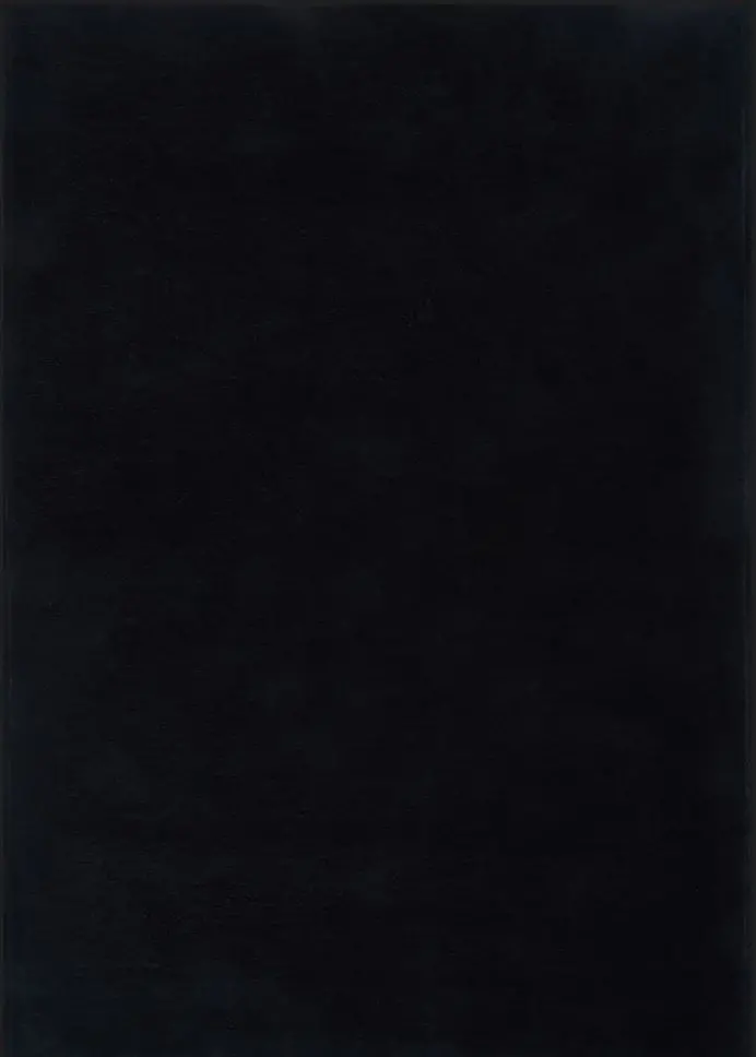 Covor living / dormitor Basic Black (160x230 cm/200x300 cm) Carpet Decor [6]