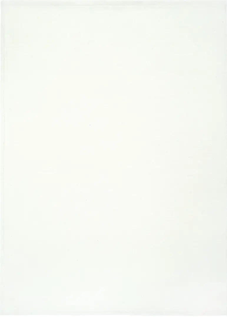 Covor living / dormitor Basic White (160x230 cm/200x300 cm) Carpet Decor [2]