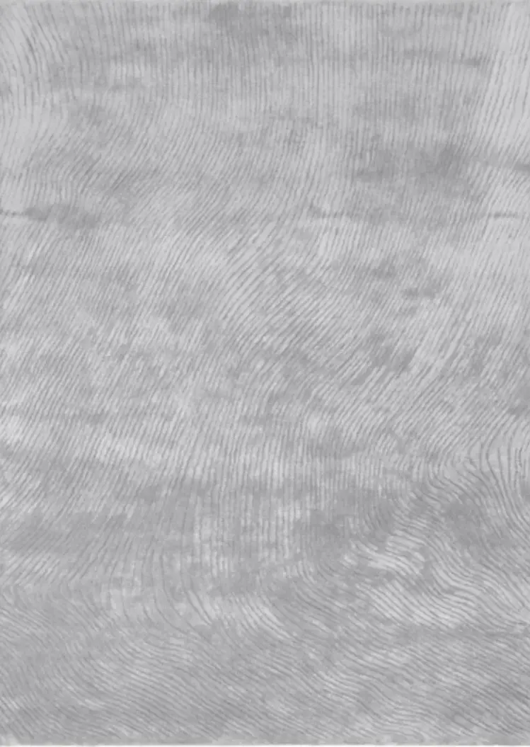 Covor living / dormitor Canyon Silver (160x230 cm/200x300 cm) Carpet Decor [2]