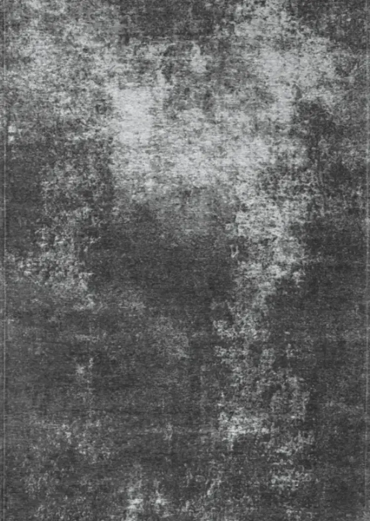 Covor living / dormitor Concreto Gray (160x230 cm/200x300 cm) Carpet Decor [1]