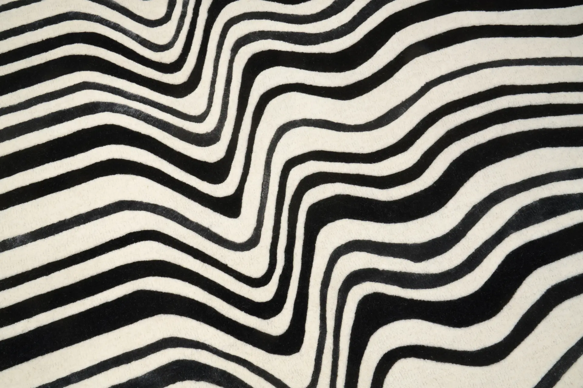 Covor living / dormitor Draft Black (160x230 cm/200x300 cm) Carpet Decor [4]