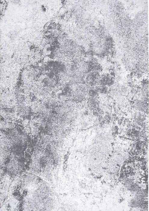 Covor living / dormitor Moon Light Gray (160x230 cm/200x300 cm) Carpet Decor [3]