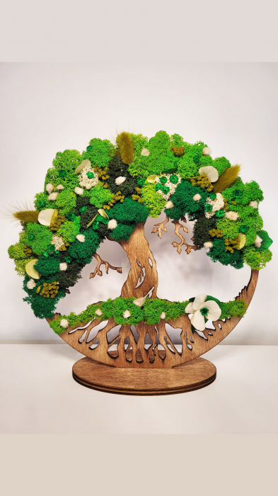 Decoratiune cu muschi stabilizati verzi Tree 25x25 cm, CP25LF_GRN - Lacraru [3]