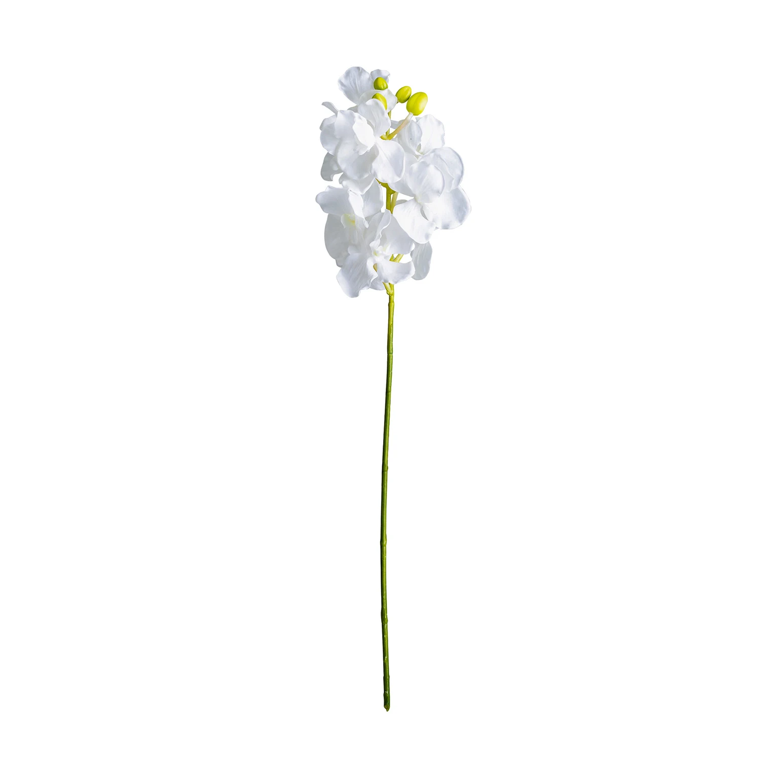 FLOARE AZAHAR VicalHome 26360 [7]
