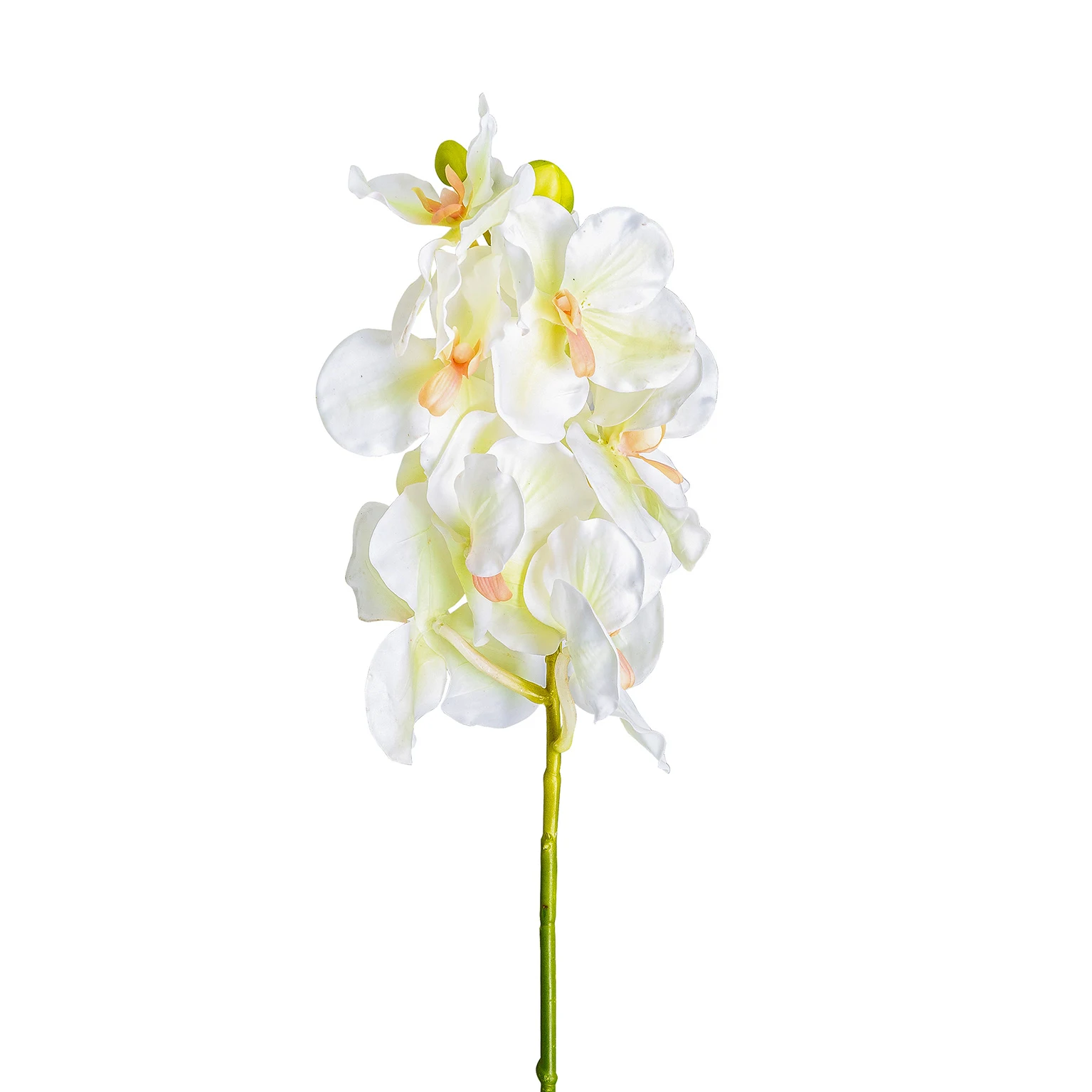 FLOARE AZAHAR VicalHome 26361 [1]